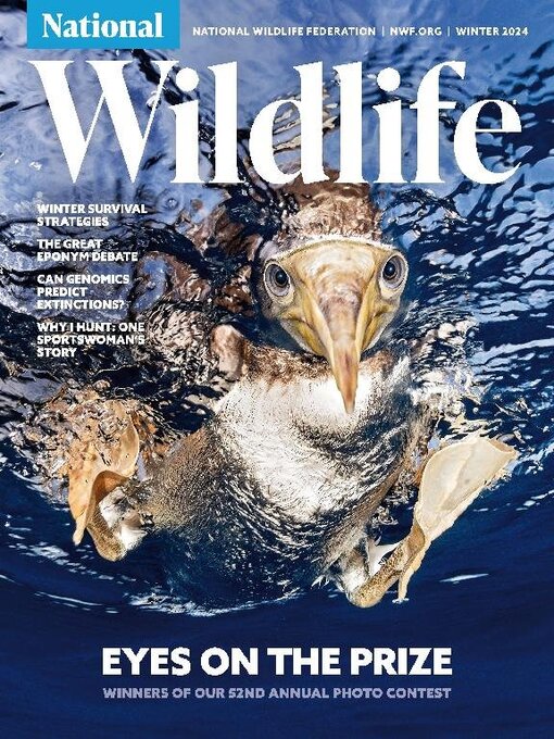 Title details for National Wildlife by National Wildlife Federation - Available